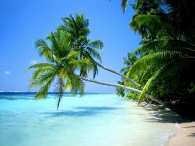 20100611013735-playa-paradisiaca.jpg